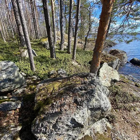 Lammassaari