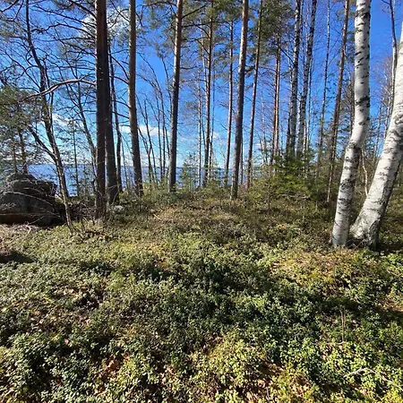 Lammassaari *