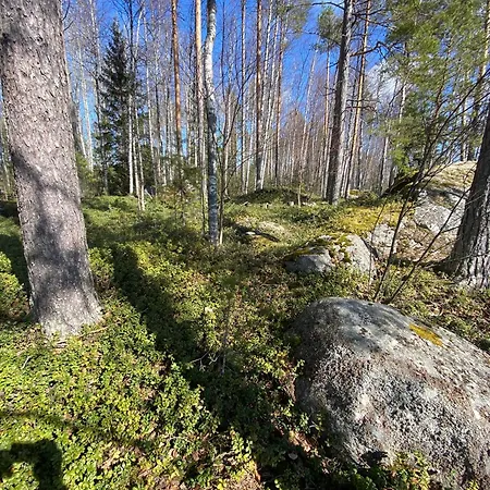 Lammassaari